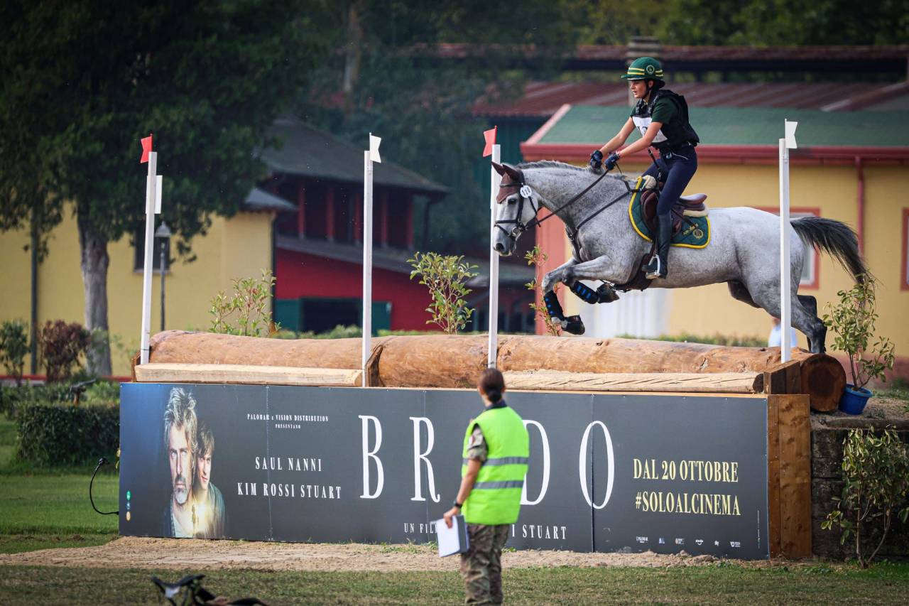 Ruin Iers sportpaard Te koop 2010 Schimmel