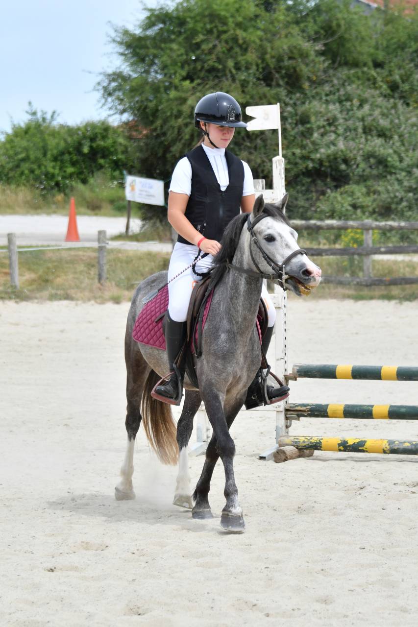 Ruin Franse rijpony PFS Te koop 2022 Schimmel ,  RABOLIOT D'ARQUETAN