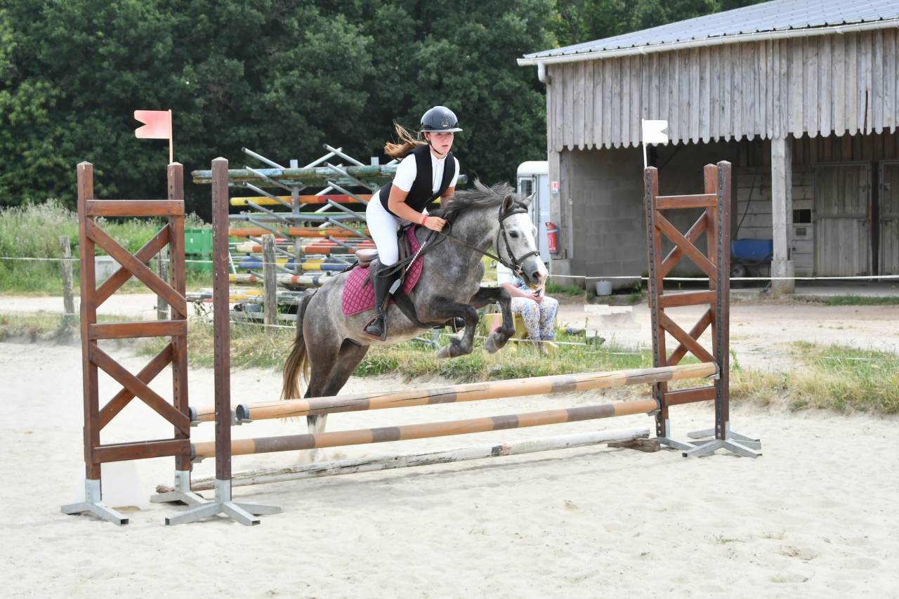 Ruin Franse rijpony PFS Te koop 2022 Schimmel ,  RABOLIOT D'ARQUETAN