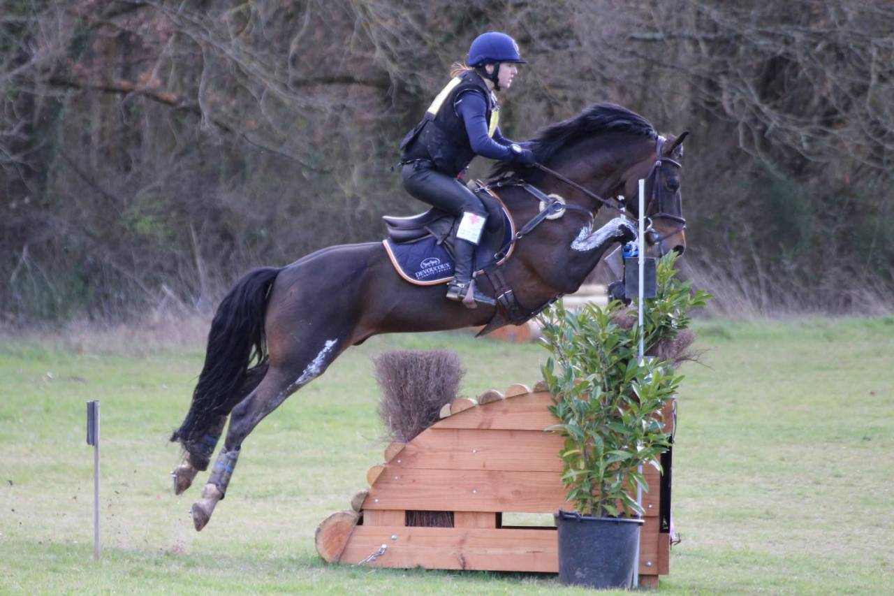 Secret d'Arquetan - Franse rijpony PFS 2006 ,  GEDEON DES MAUVIS