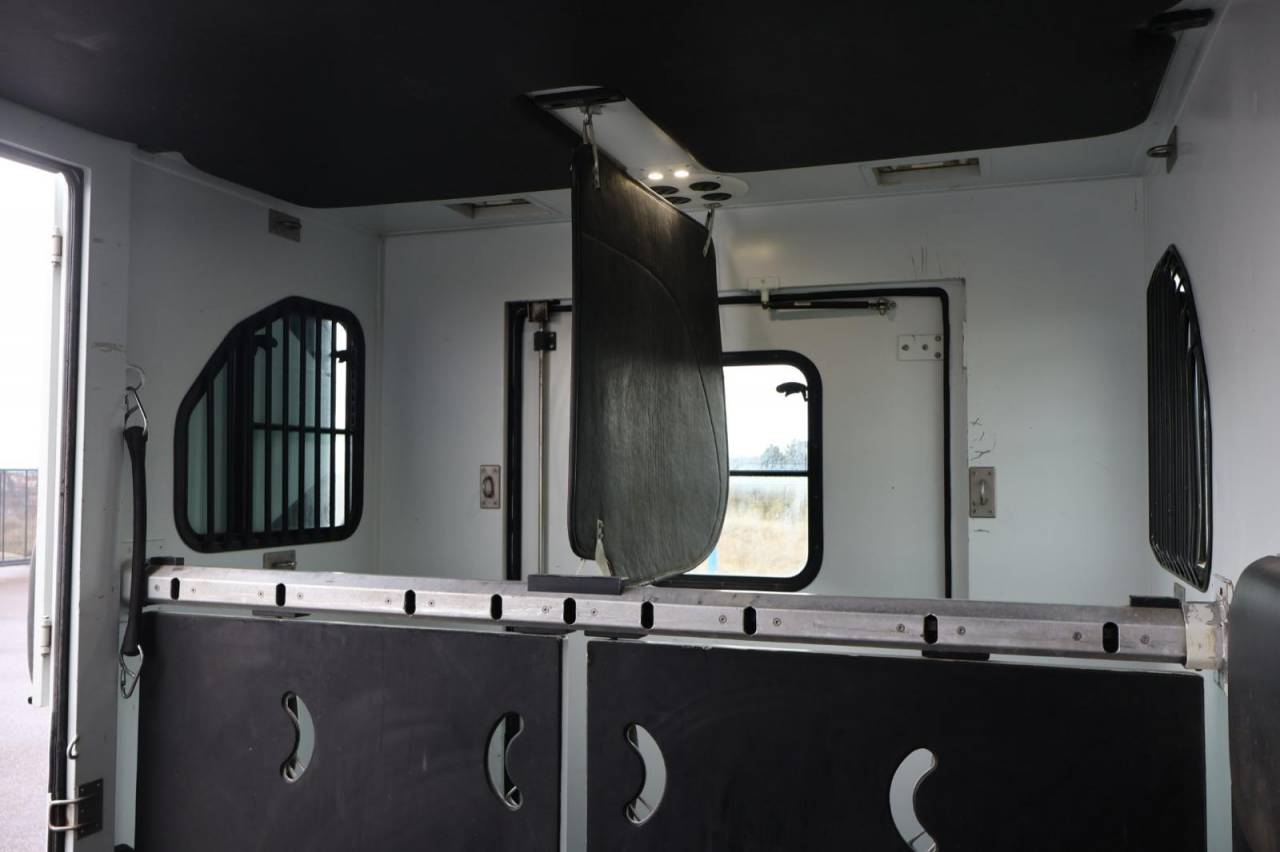 Kleine paardenvrachtwagen (B rijbewijs) Theault THEAULT PROTEO 3.0 180CH 2015 Tweedehands