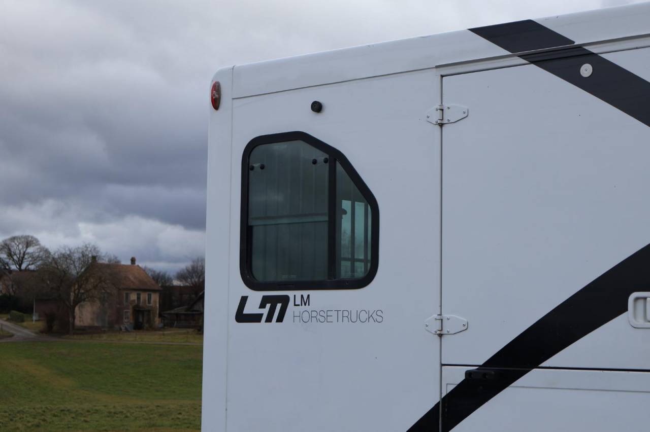 Kleine paardenvrachtwagen (B rijbewijs) Theault THEAULT PROTEO 3.0 180CH 2015 Tweedehands