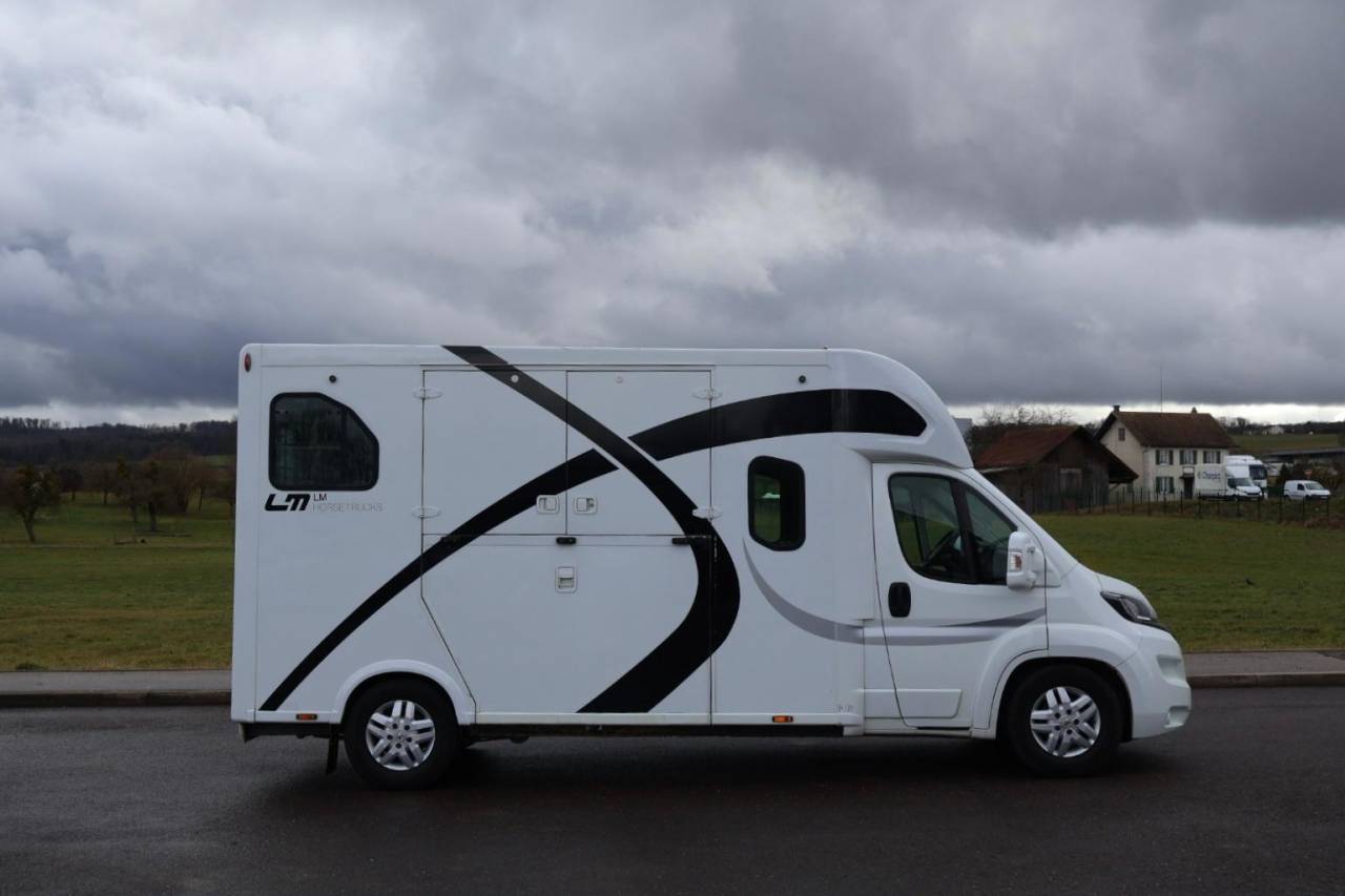 Kleine paardenvrachtwagen (B rijbewijs) Theault THEAULT PROTEO 3.0 180CH 2015 Tweedehands