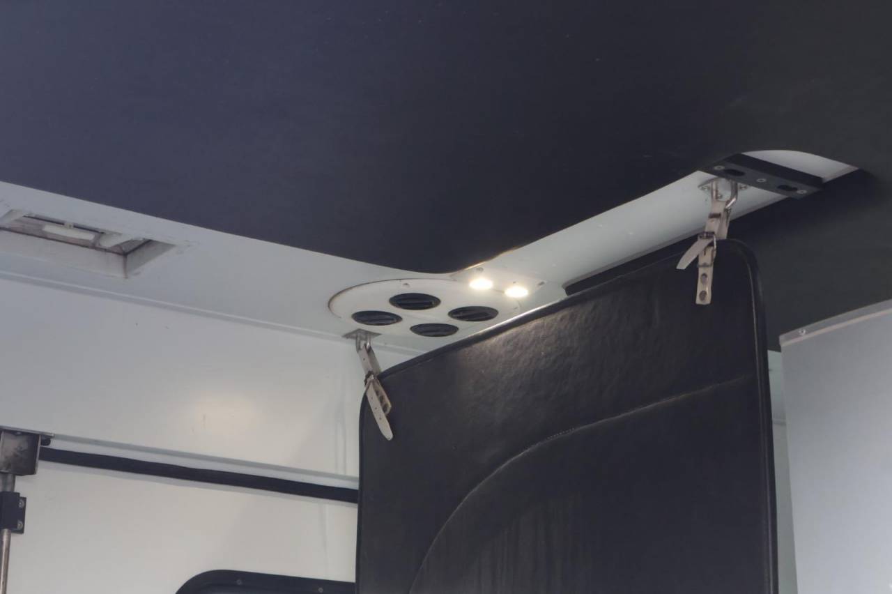 Kleine paardenvrachtwagen (B rijbewijs) Theault THEAULT PROTEO 3.0 180CH 2015 Tweedehands