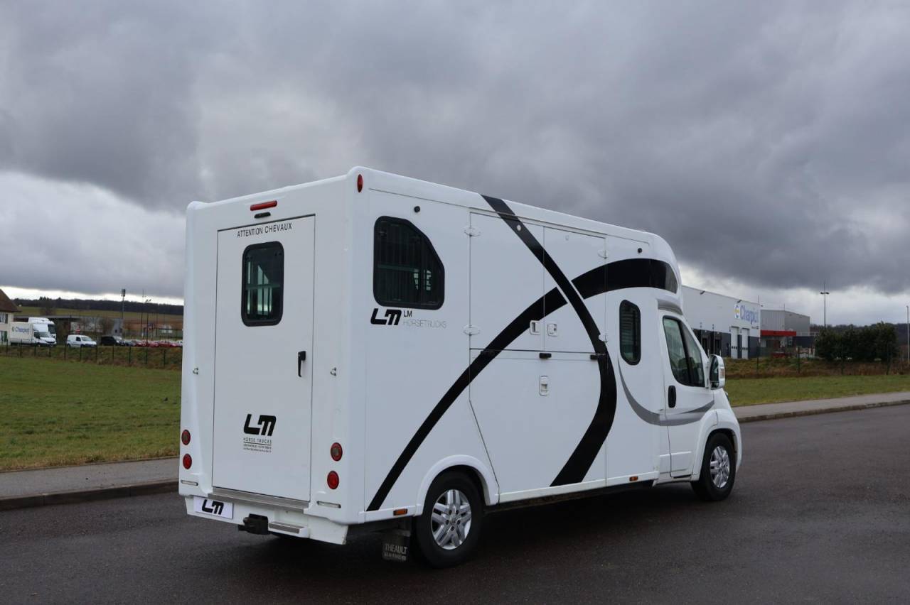 Kleine paardenvrachtwagen (B rijbewijs) Theault THEAULT PROTEO 3.0 180CH 2015 Tweedehands