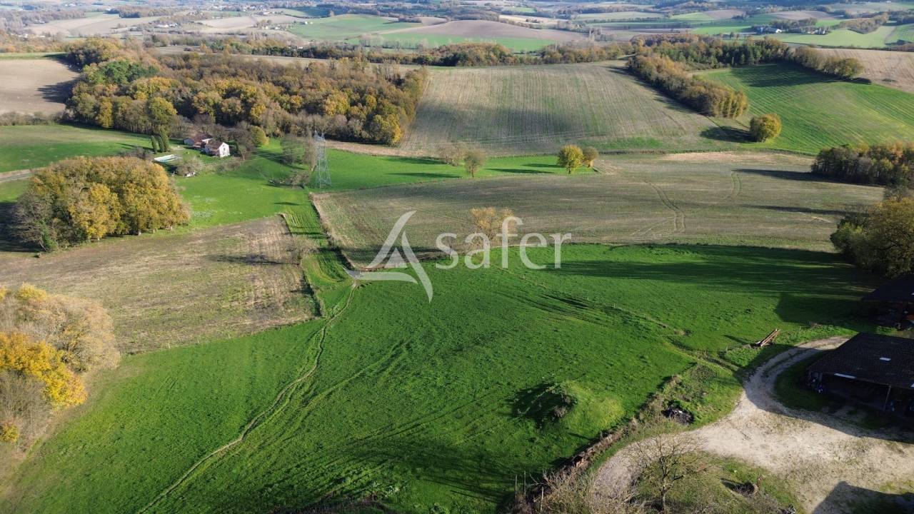 Schapen exploitatie Koop Dordogne