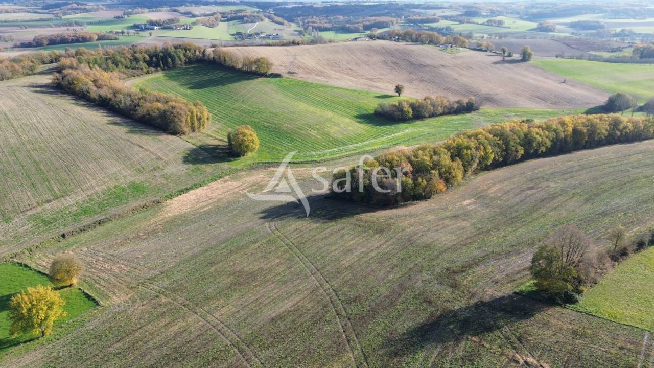Schapen exploitatie Koop Dordogne