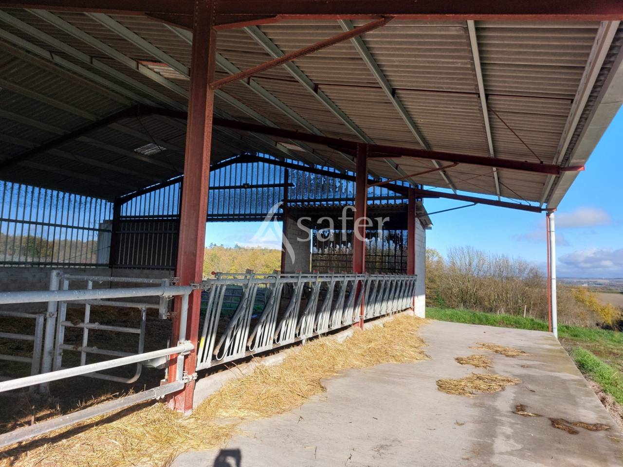 Schapen exploitatie Koop Dordogne