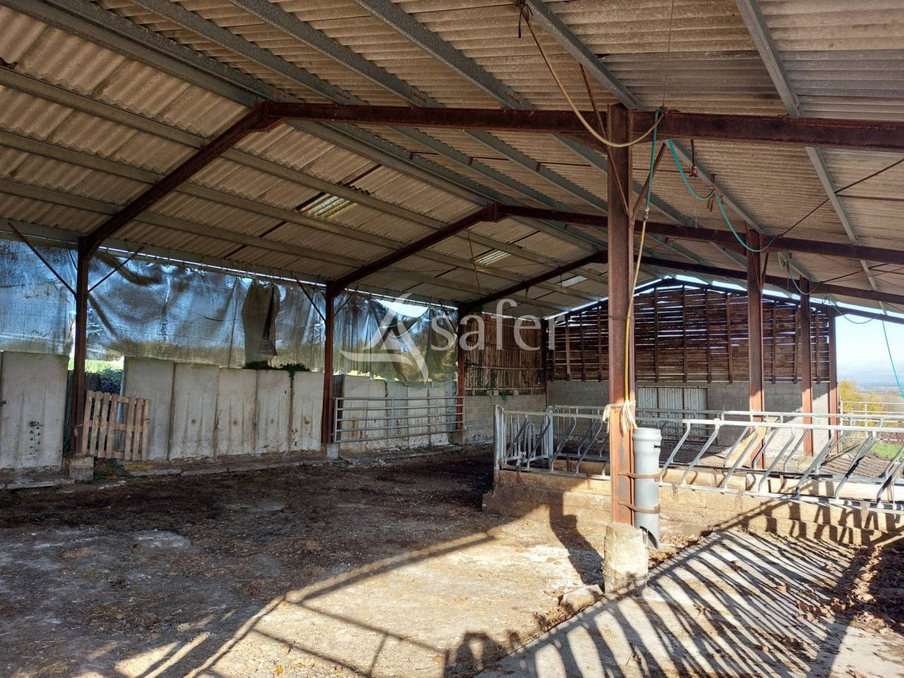 Schapen exploitatie Koop Dordogne