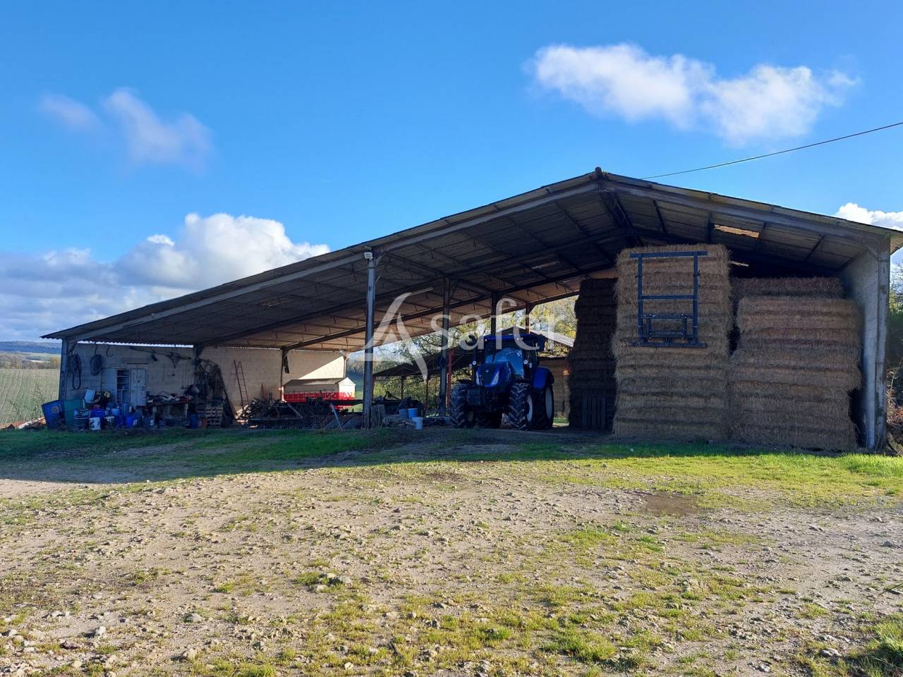 Schapen exploitatie Koop Dordogne