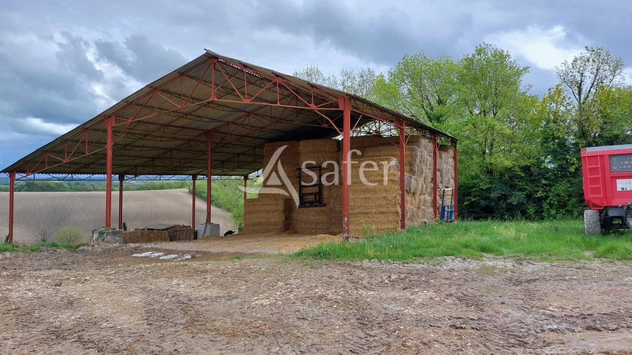 Schapen exploitatie Koop Dordogne