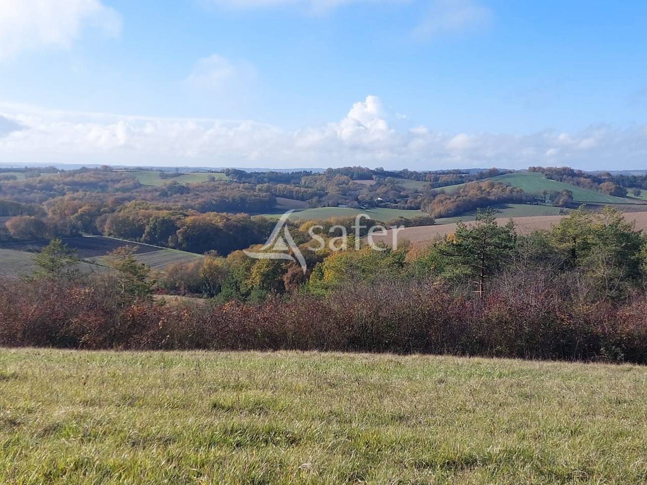 Schapen exploitatie Koop Dordogne