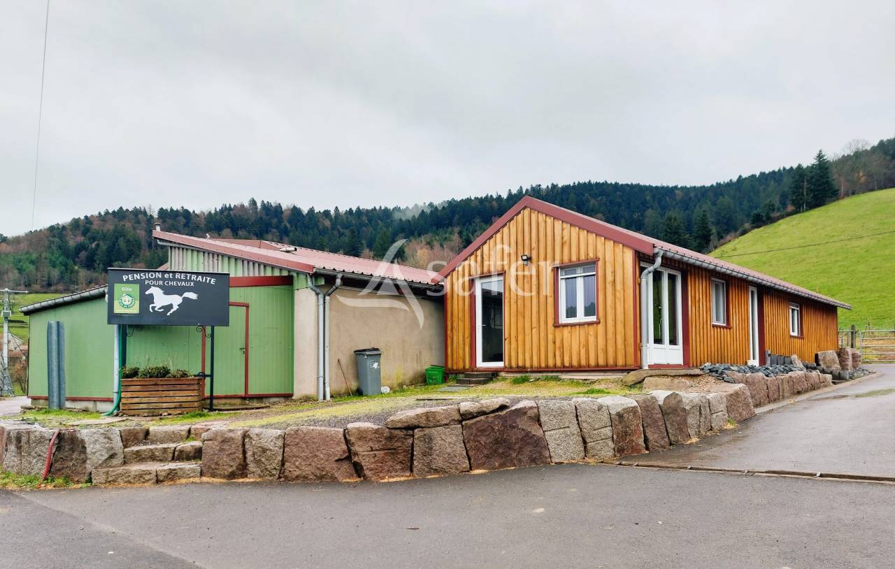 Hippisch vastgoed Koop Vosges