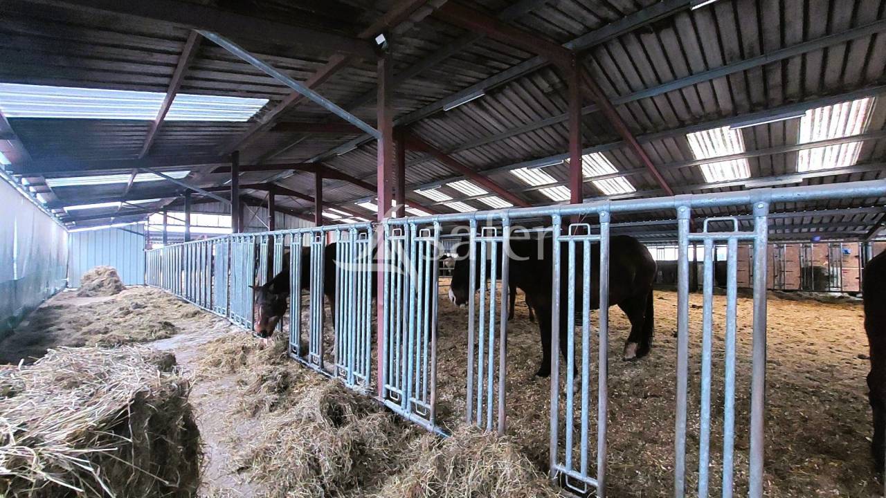 Hippisch vastgoed Koop Vosges