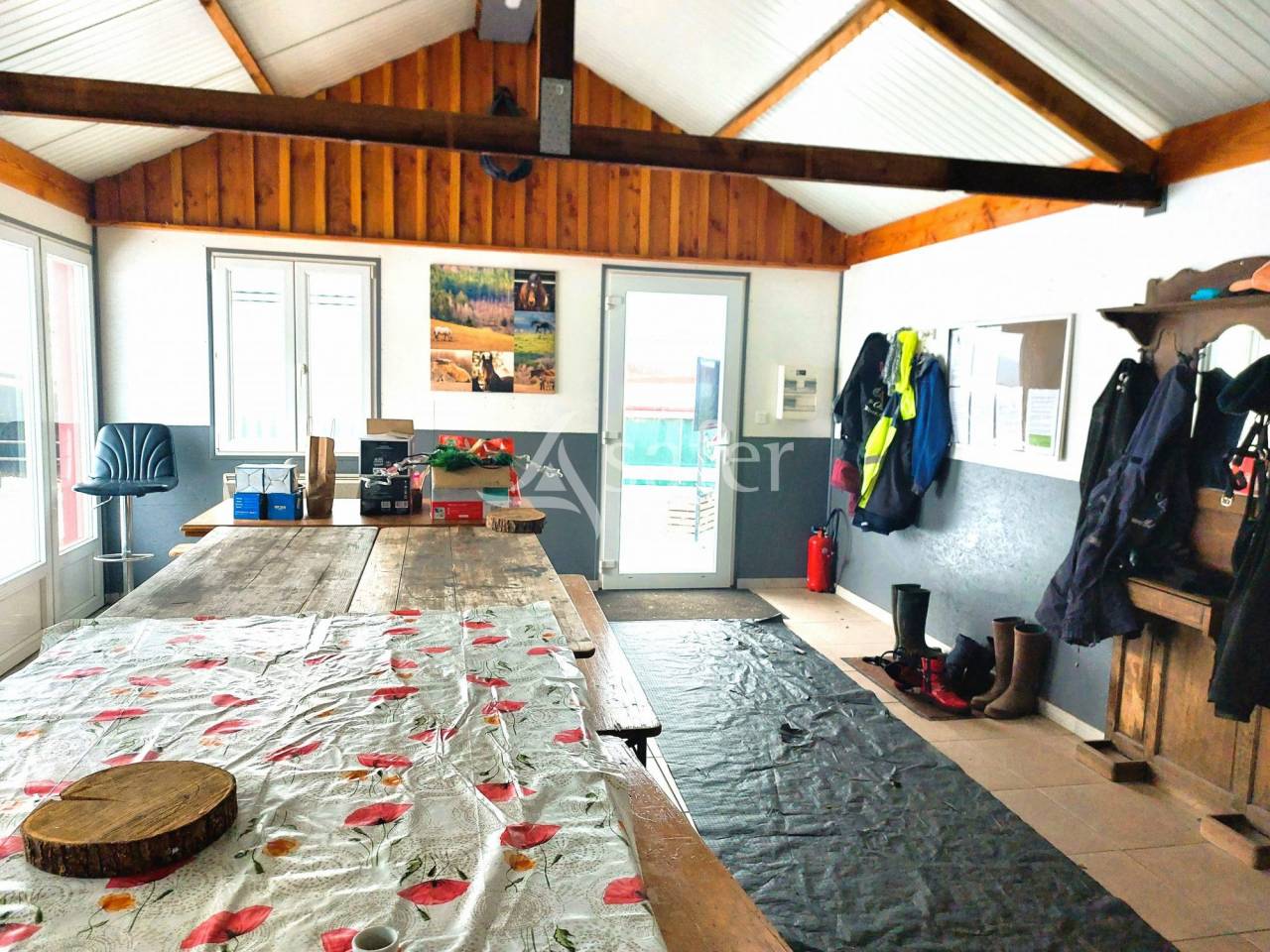 Hippisch vastgoed Koop Vosges