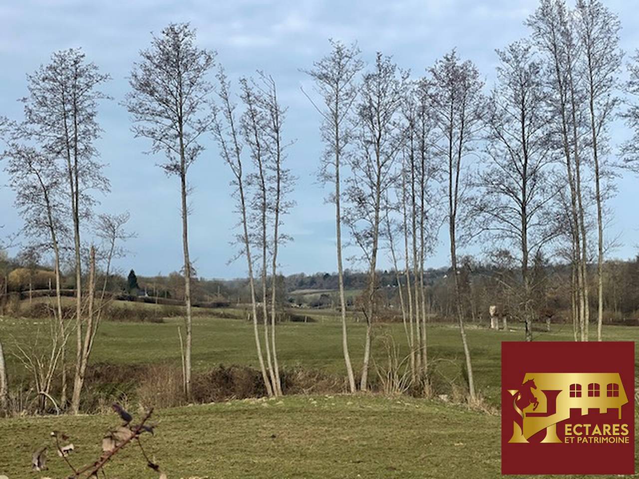 Hippisch vastgoed Koop Calvados