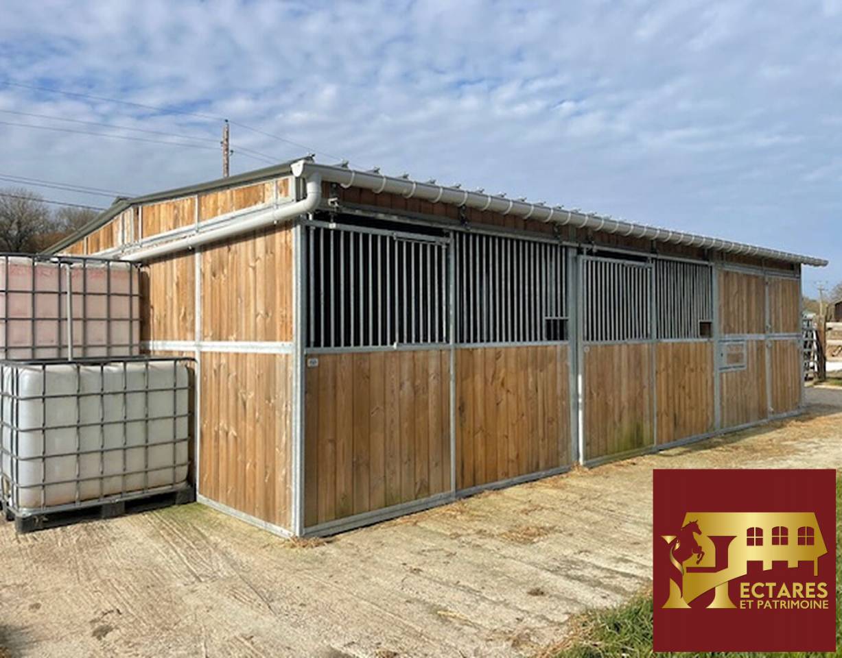 Hippisch vastgoed Koop Calvados