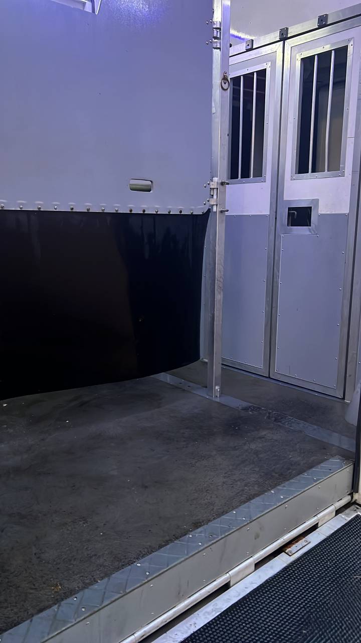 Kleine paardenvrachtwagen (B rijbewijs) Renault Master 2020 Tweedehands