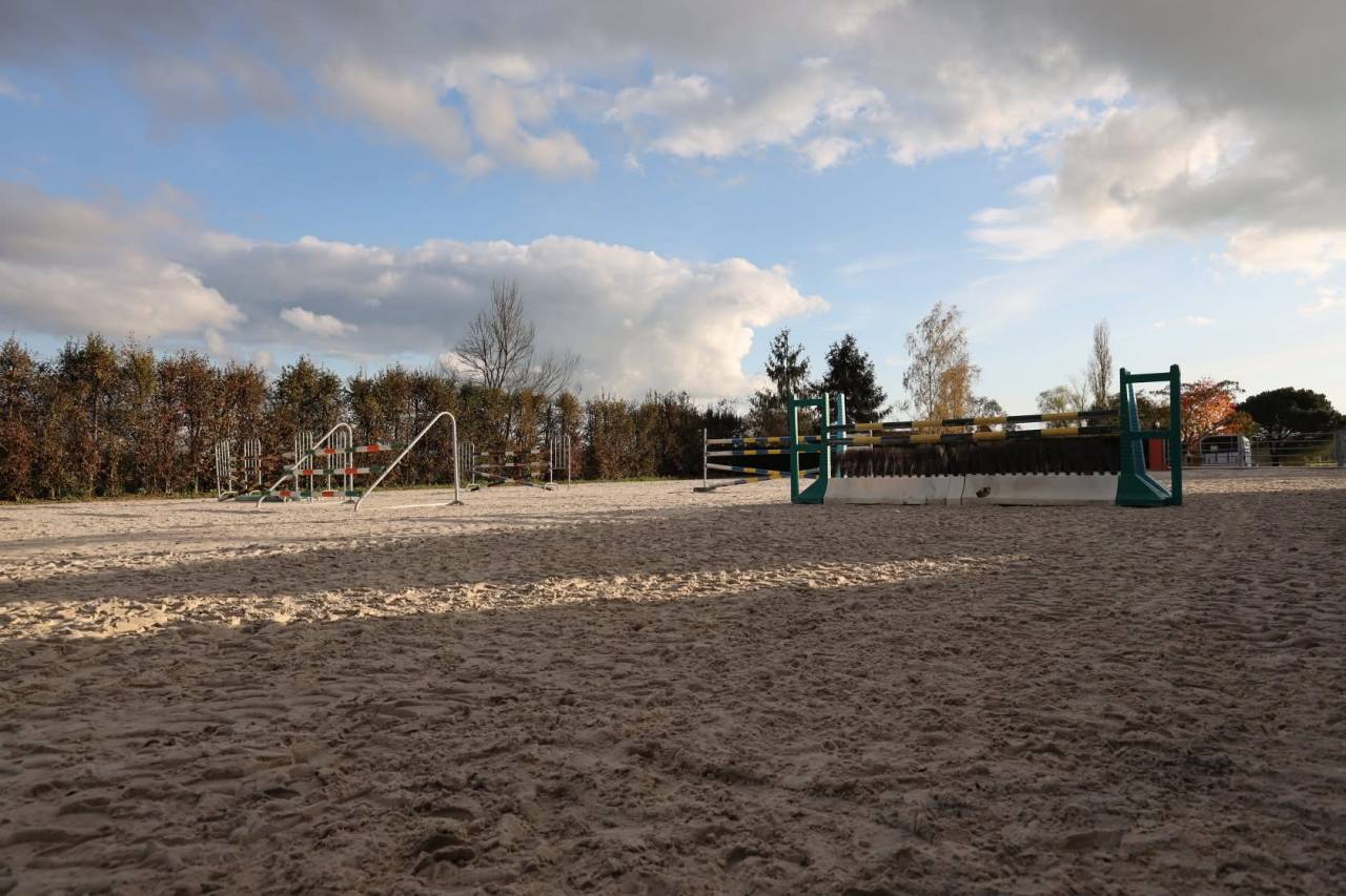 Stoeterij Koop Sa&ocirc;ne-et-Loire