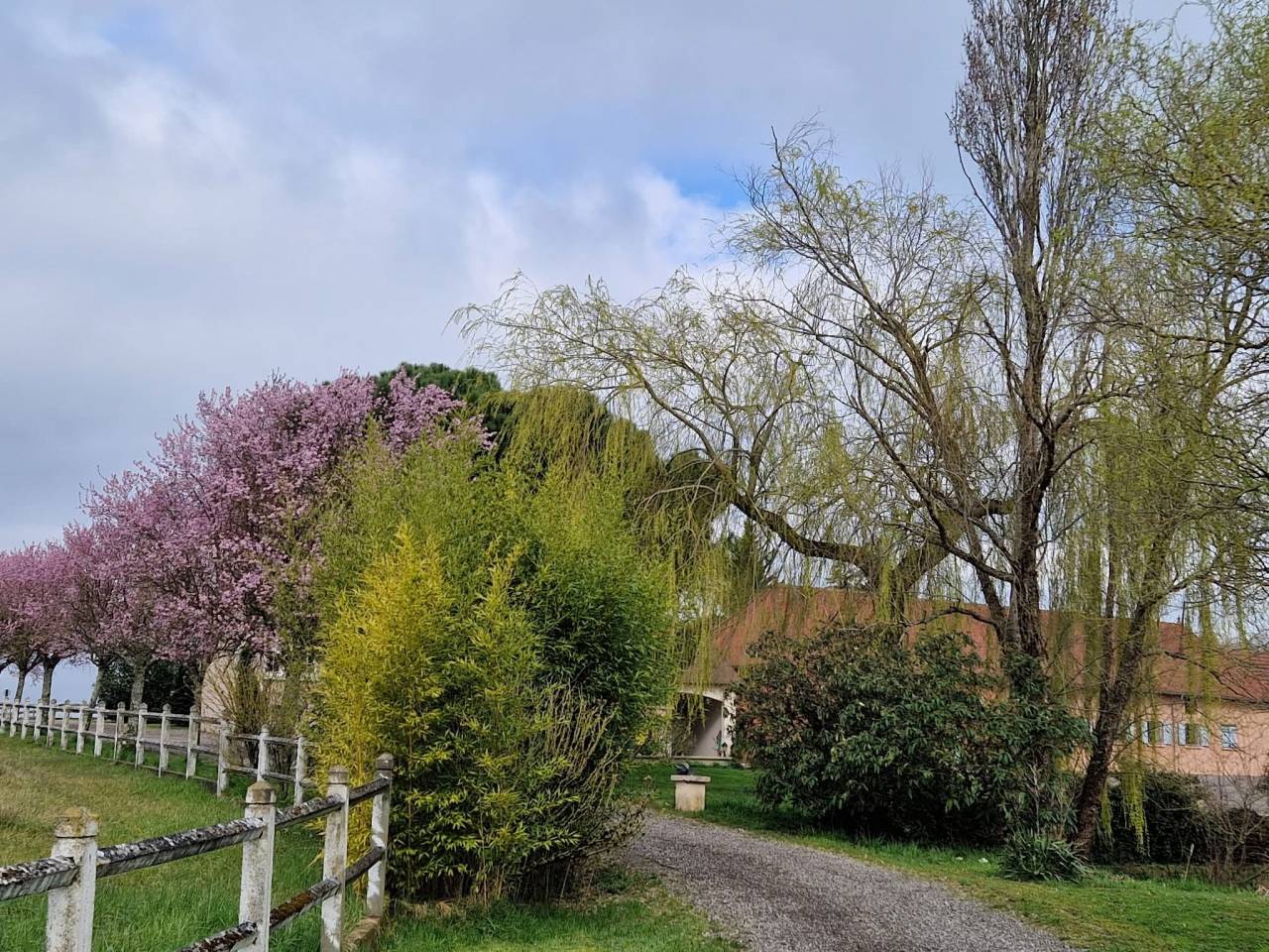 Stoeterij Koop Sa&ocirc;ne-et-Loire