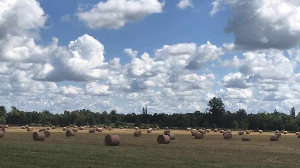 Stoeterij Koop Sa&ocirc;ne-et-Loire