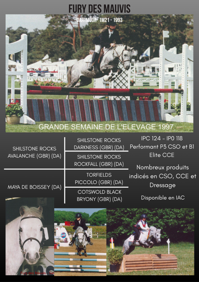 Fury des Mauvis - Dartmoor 1993 ,  SHILSTONE ROCKS AVALANCHE (GBR)