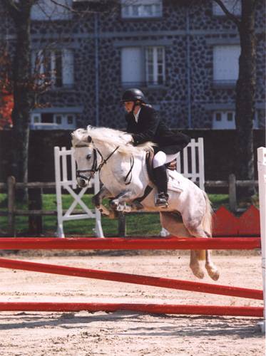 Fury des Mauvis - Dartmoor 1993 ,  SHILSTONE ROCKS AVALANCHE (GBR)