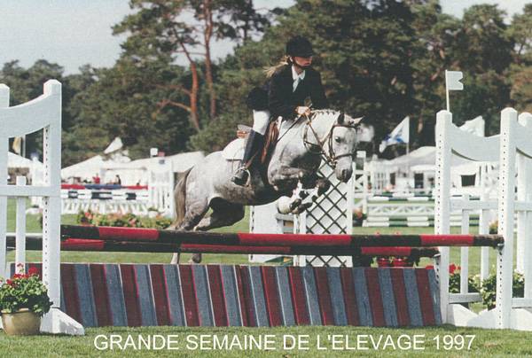 Fury des Mauvis - Dartmoor 1993 ,  SHILSTONE ROCKS AVALANCHE (GBR)