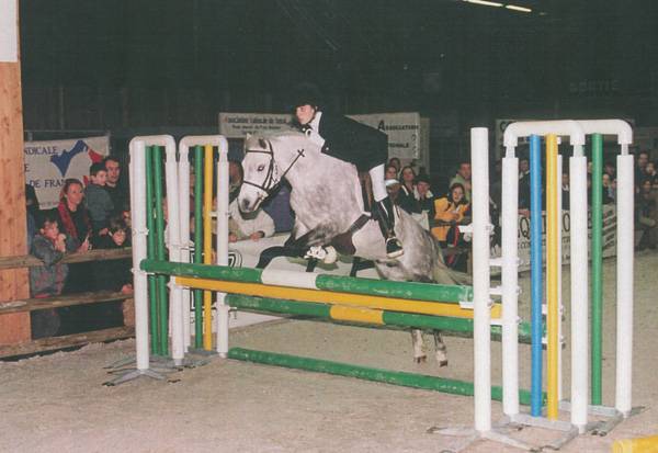 Fury des Mauvis - Dartmoor 1993 ,  SHILSTONE ROCKS AVALANCHE (GBR)