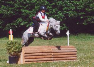 Fury des Mauvis - Dartmoor 1993 ,  SHILSTONE ROCKS AVALANCHE (GBR)