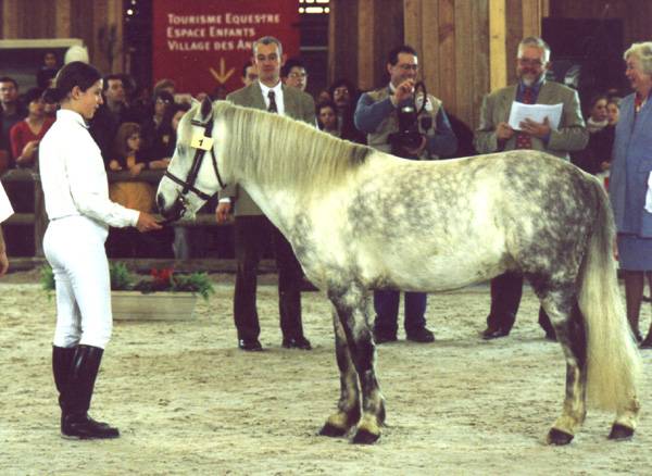 Fury des Mauvis - Dartmoor 1993 ,  SHILSTONE ROCKS AVALANCHE (GBR)