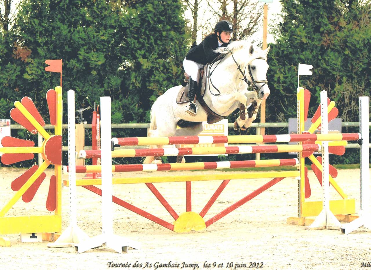 Iwan de Villate - Franse rijpony PFS 1996 ,  VVHISKY VIF ARGENT