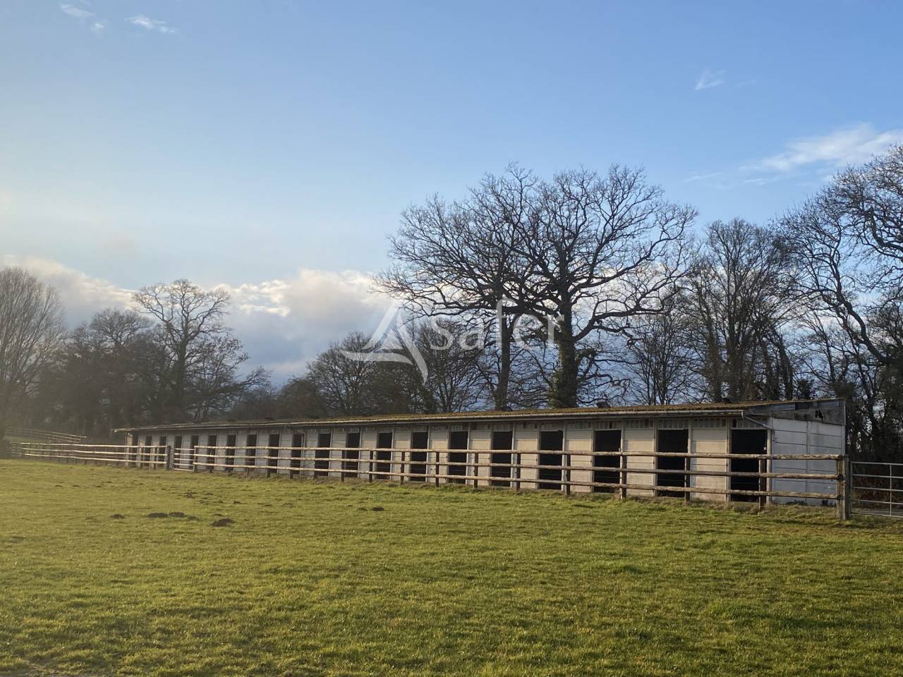 Bos exploitatie Koop Orne