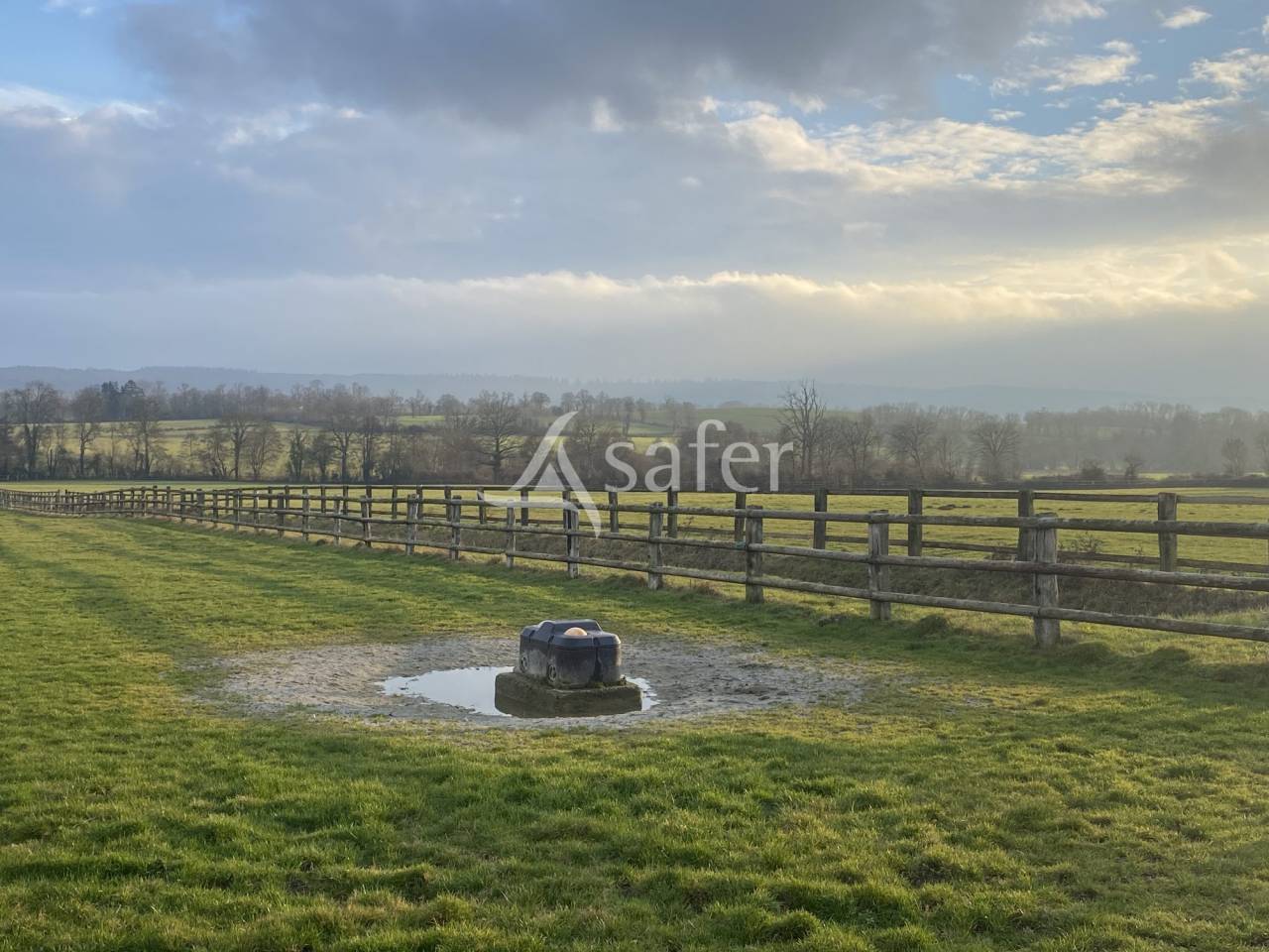 Bos exploitatie Koop Orne