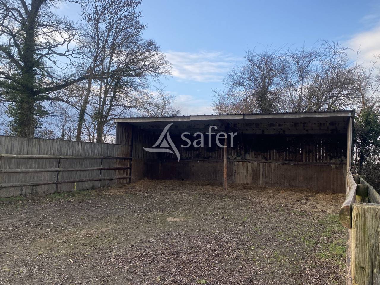 Bos exploitatie Koop Orne