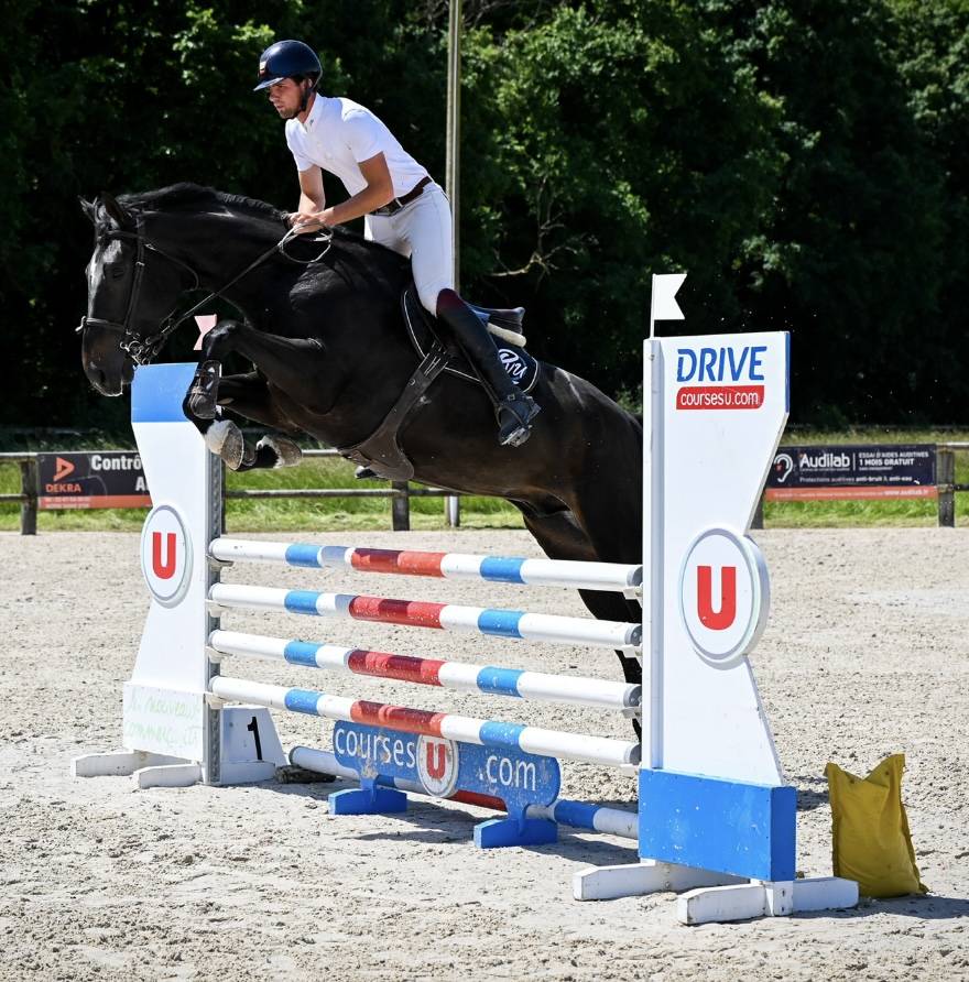 Ruin Zangersheide Te koop 2021 Zwart ,  Columbus Z