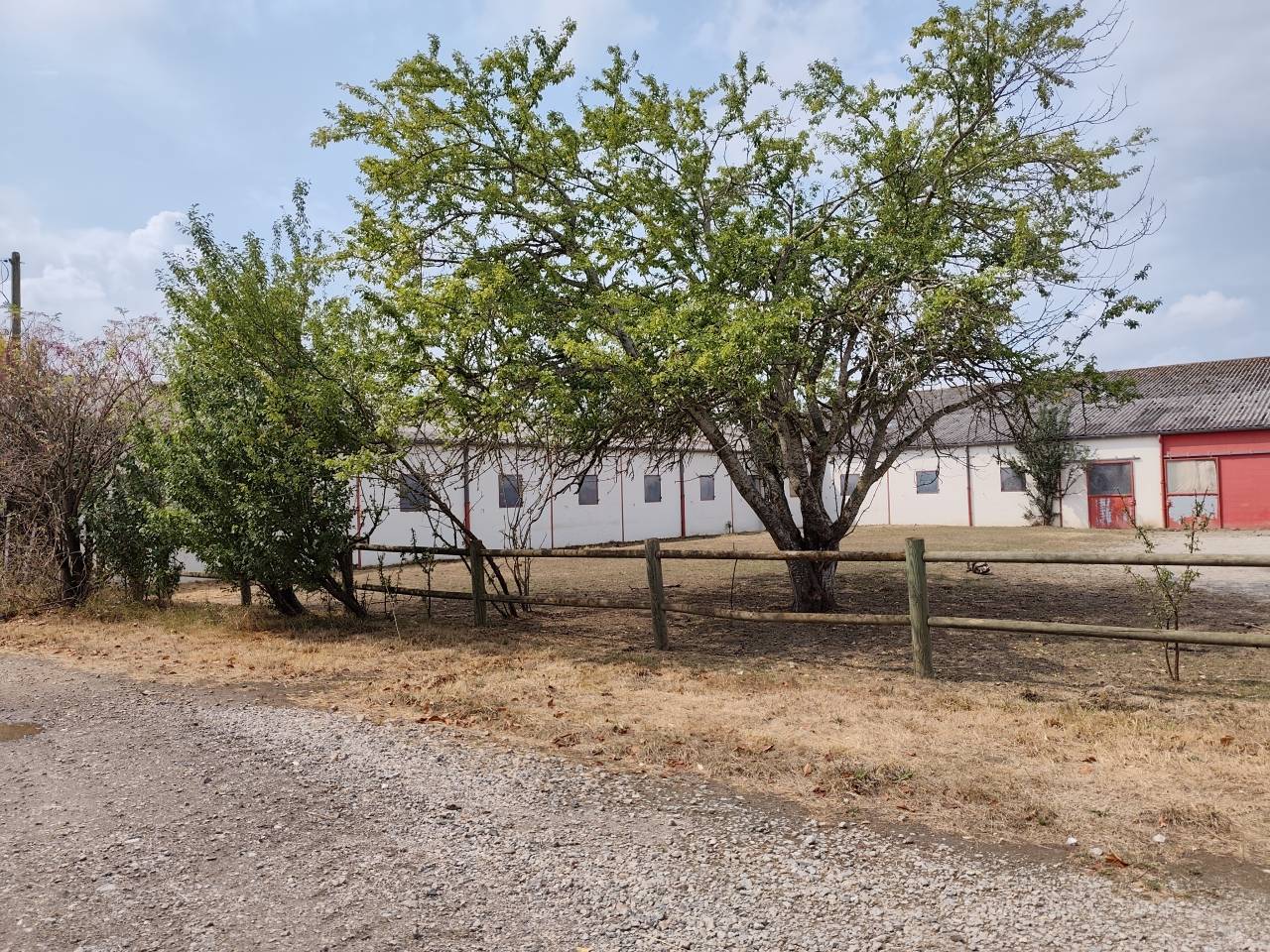 Hippisch vastgoed Koop Allier