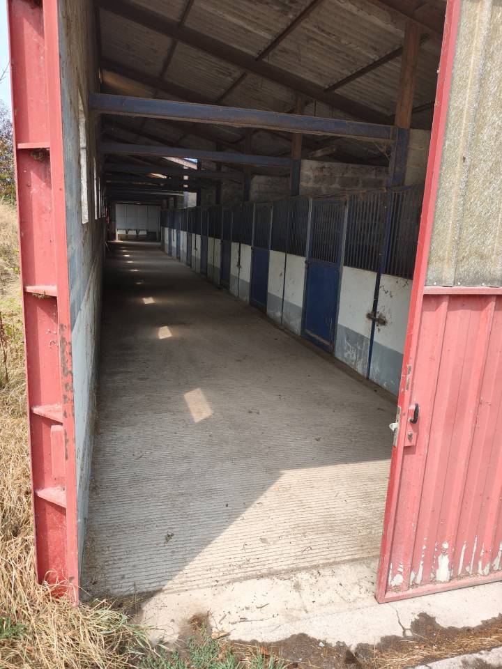 Hippisch vastgoed Koop Allier