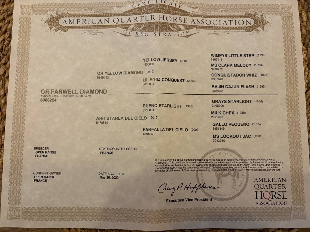 Ruin Quarter Horse Te koop 2020 Palomino