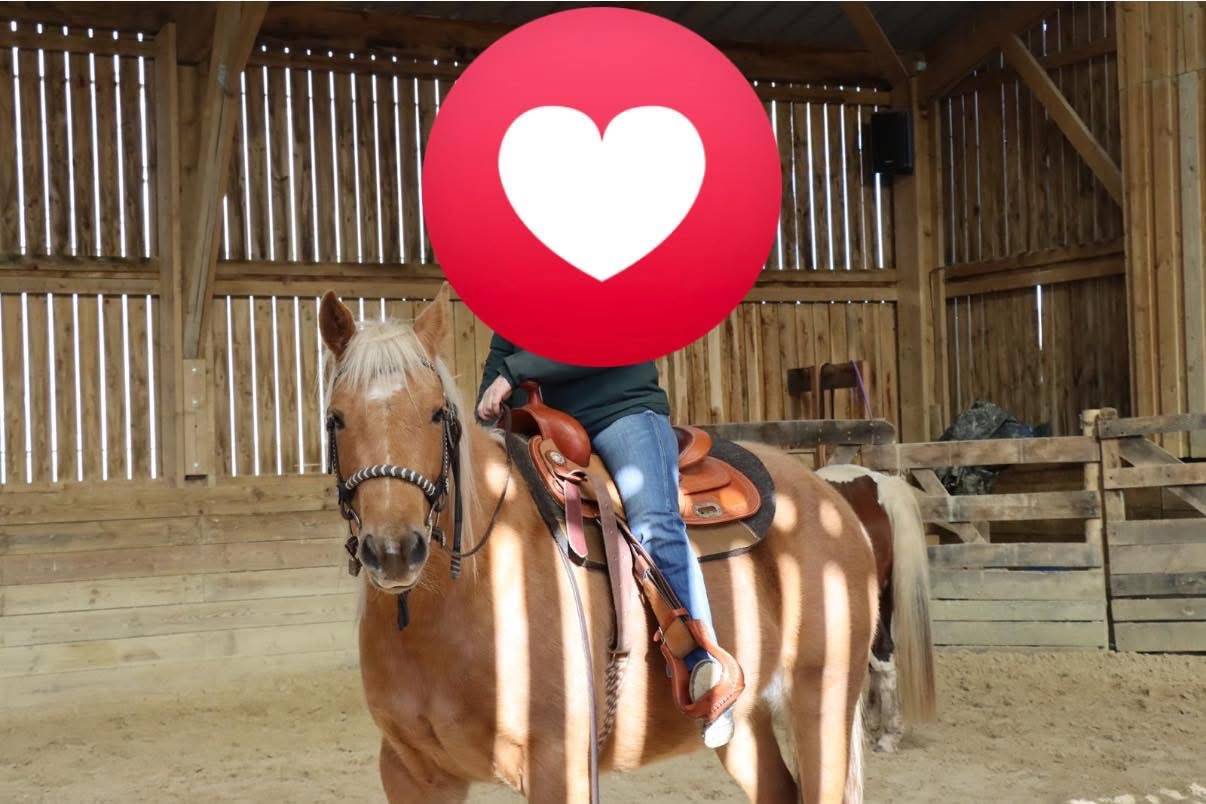 Ruin Quarter Horse Te koop 2020 Palomino