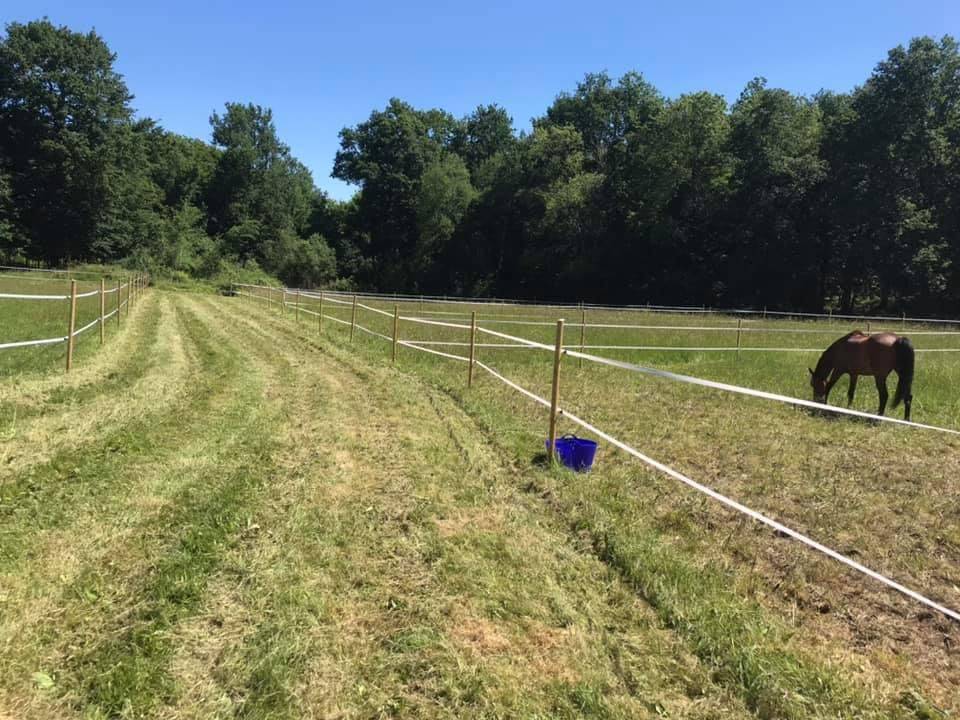 Hippisch vastgoed Koop Dordogne