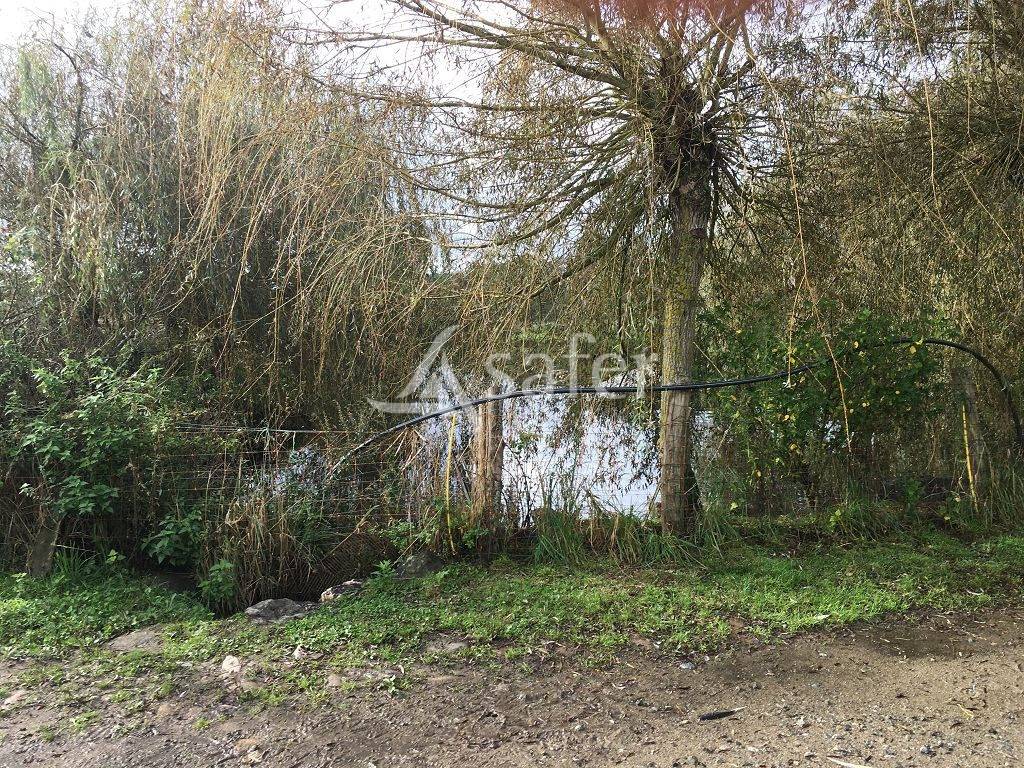 Schapen exploitatie Koop Haute-Vienne