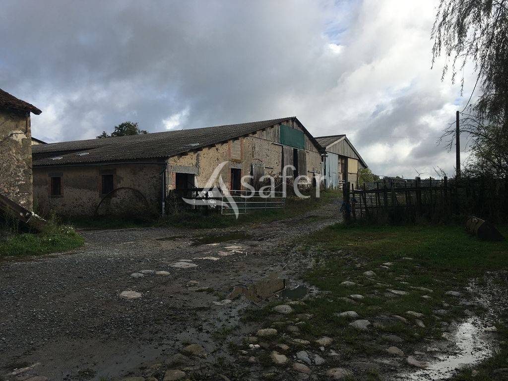 Schapen exploitatie Koop Haute-Vienne