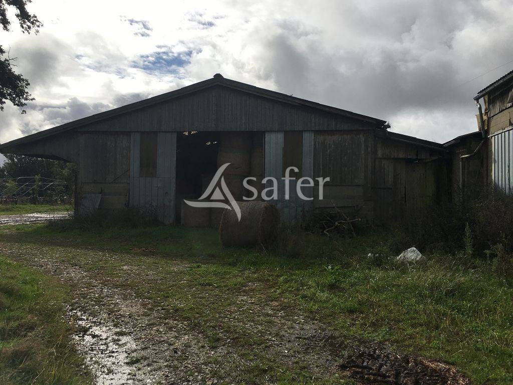 Schapen exploitatie Koop Haute-Vienne