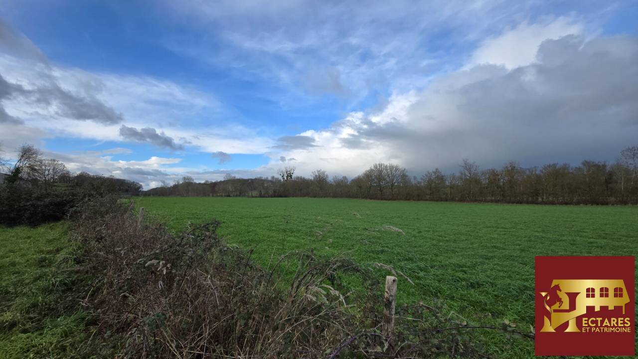 Hippisch vastgoed Koop Maine-et-Loire