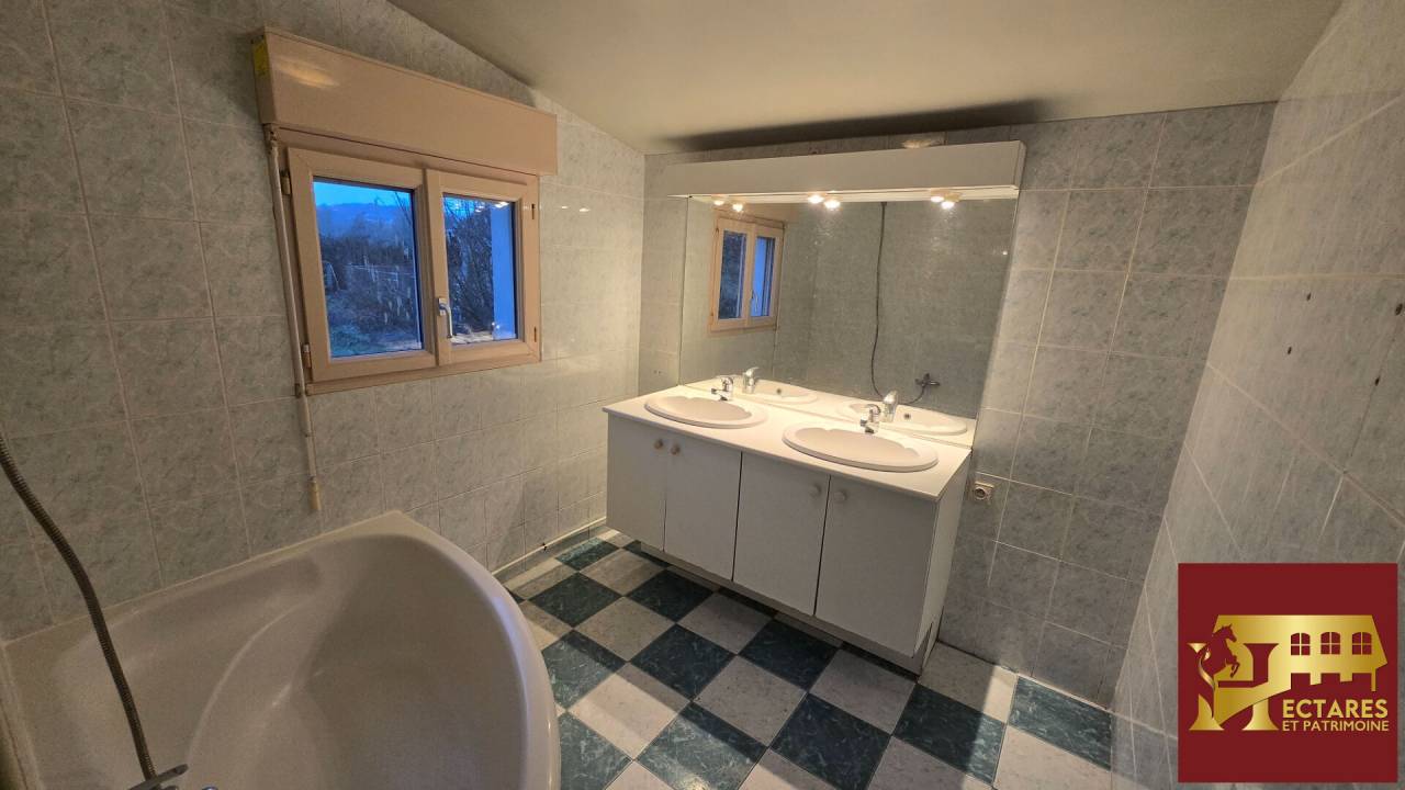 Hippisch vastgoed Koop Maine-et-Loire