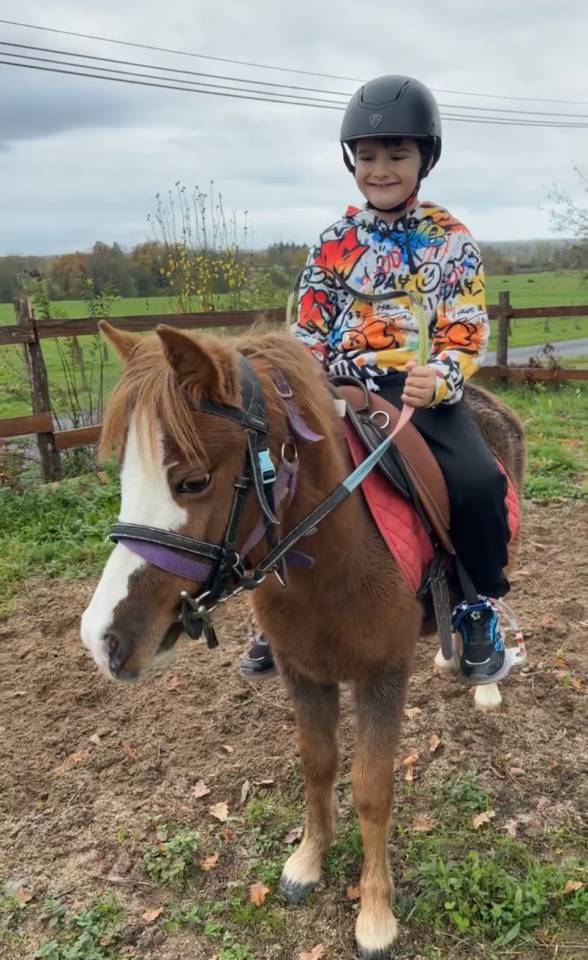 Merrie Welsh Pony (Section A) Te koop 2022 Overige kleuren