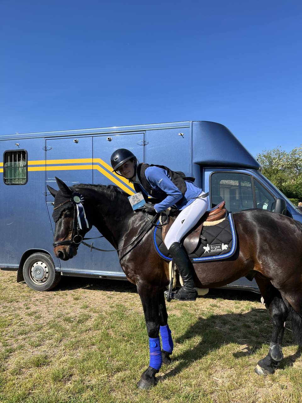 Hengst Connemara Te koop 2009 Bruin / Bai ,  BABY BOY DE RHONON