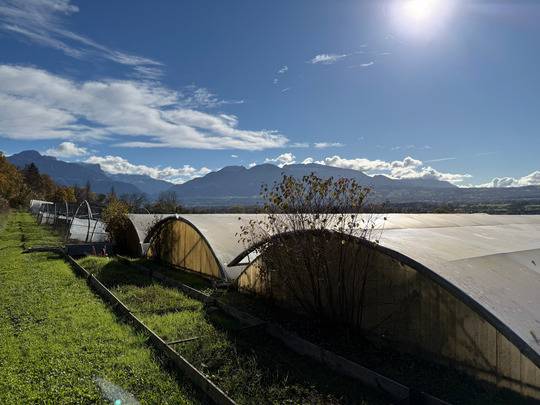 Hippisch vastgoed Koop Haute-Savoie