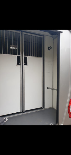 Kleine paardenvrachtwagen (B rijbewijs) STX Master 2022 2022 Tweedehands